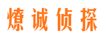 翠云市私人侦探